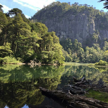 Cargar imagen en el visor de la galería, VIAJE - Pucón Ruta Natural
